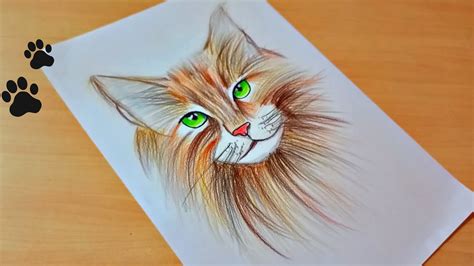 Cat Colored Pencil Drawing