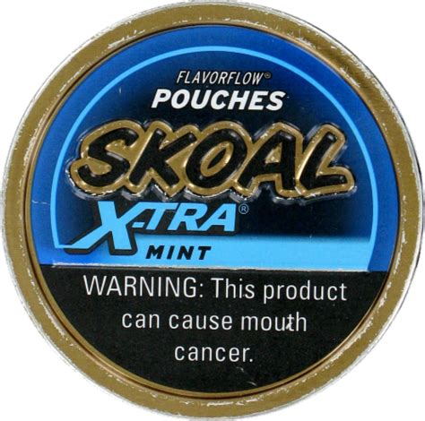 Skoal X-tra Mint Pouches Chewing Tobacco, .82 Oz - Fred Meyer