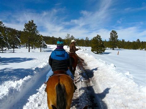 64 best SNOW images on Pinterest | Arizona, Arizona usa and Arizona winter