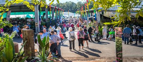 Nambour - Hinterland Tourism Sunshine Coast