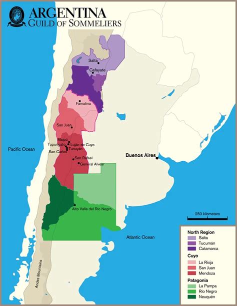 wine map of patagonia - Recherche Google | Wine Maps | Pinterest | Patagonia, Wine and Argentina