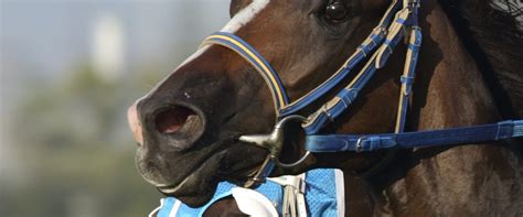 Horse Racing in Australia