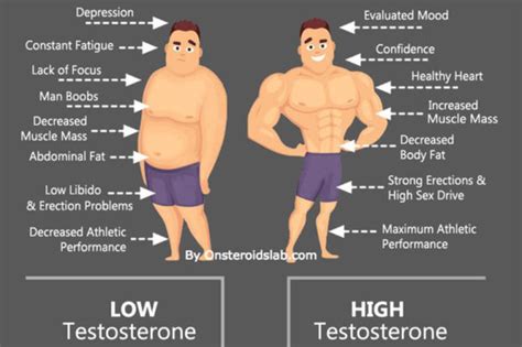 Low Testosterone: Symptoms, Causes, Effects And Treatment • SpotMeBro.com