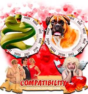 Snake And Dog Compatibility Chinese Zodiac - Snake Poin