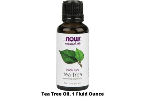 8 Best Tea Tree Oil for Cold Sores in USA 2023