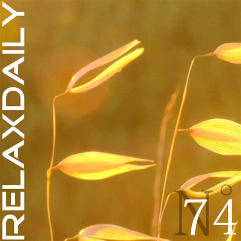 Stream Relaxing Instrumental Music: soft, studying, work, think music – relaxdaily N°074 by ...