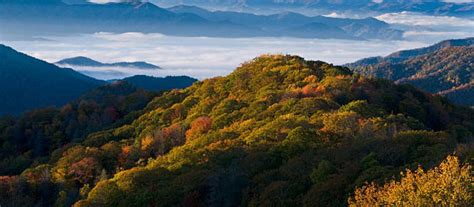 Exploring Oak Ridge, Tennessee: A Hidden Gem Of History And Nature