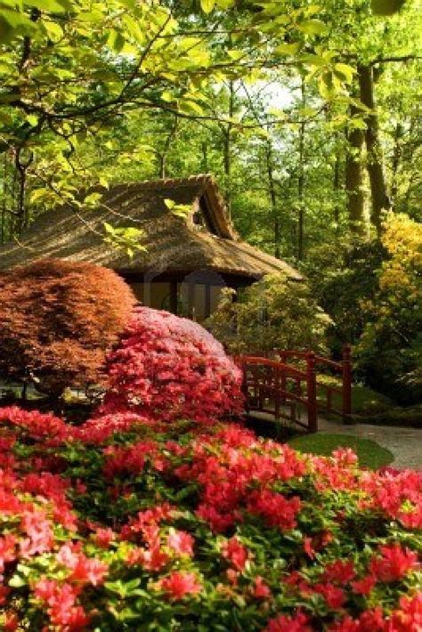 meditation area in japanese garden | Japanese garden, Meditation garden, Japanese garden plants