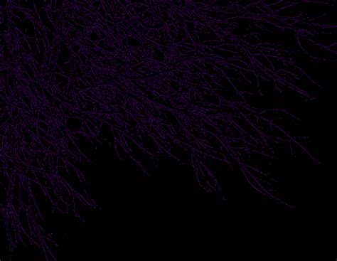 Dark Purple Backgrounds - Wallpaper Cave