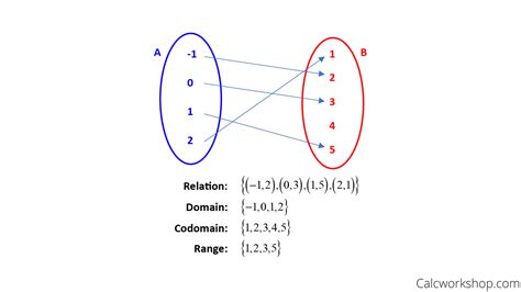 Types Of Functions (Fully Explained w/ 13+ Examples!)