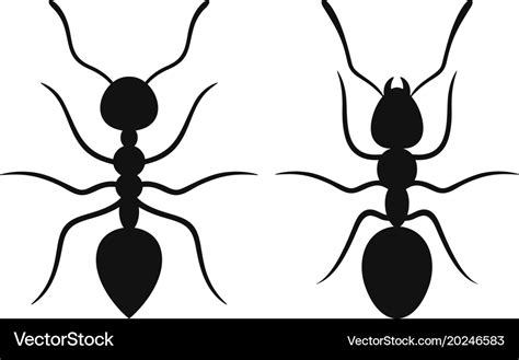 Ant Royalty Free Vector Image - VectorStock