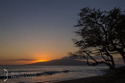 Merriman's Maui Hawaii Wedding