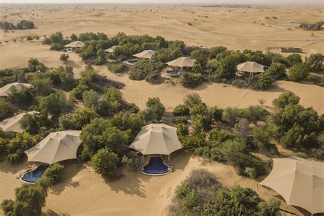 Al Maha, a Luxury Collection Desert Resort & Spa, Dubai - wild man life