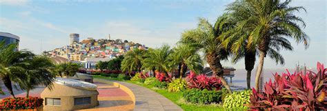 Top 10 Cheap Hotels in Guayaquil from $9/night | Hotels.com