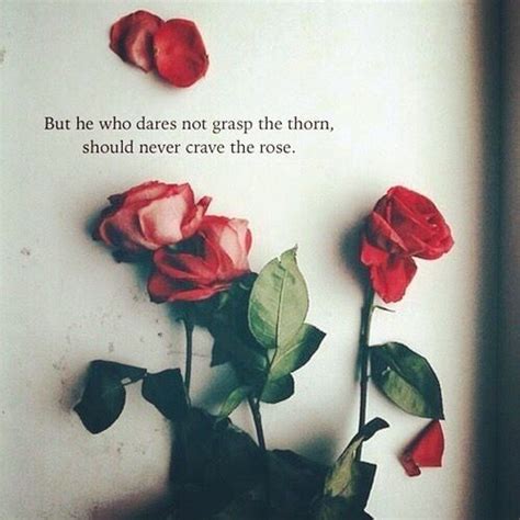 Top 25 Rose Day Quotes – QuotesHumor.com | Rose quotes, Flower quotes ...