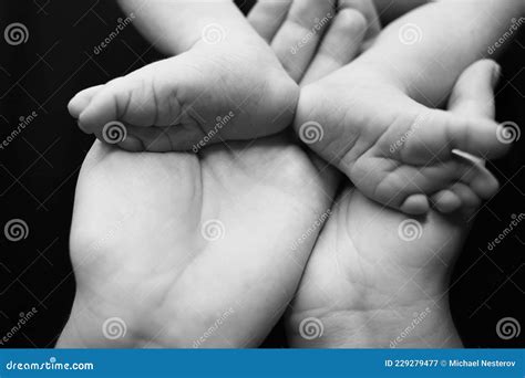 Tiny Newborn Baby Feet in Mother& X27;s Hands. Black and White Stock Image - Image of childhood ...