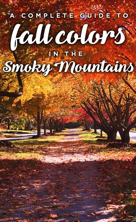 Guide to Fall Foliage in the Smoky Mountains Fall Vacations, Mountain ...