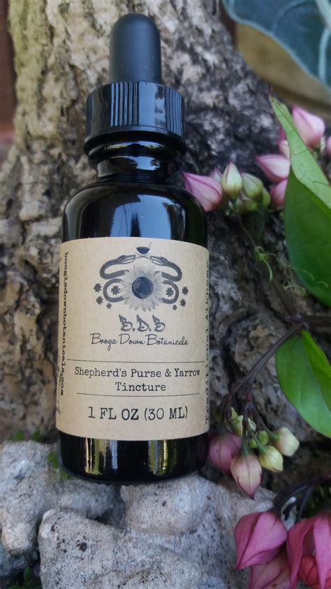 Shepherd’s Purse & Yarrow Tincture – Boogie Down Botanicals