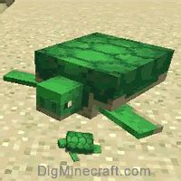 Turtle in Minecraft