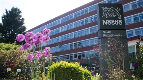 New CEO of Nestlé UK and Ireland appointed | Manufacturing News