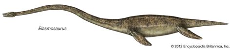 Plesiosaur | Size, Habitat, & Facts | Britannica
