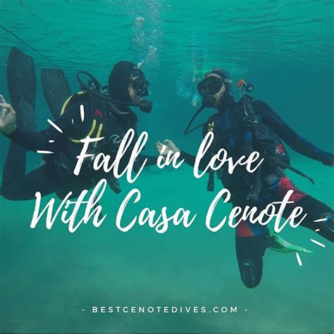 Casa Cenote Diving 2021 Discovering the Mangroves from below - Best ...