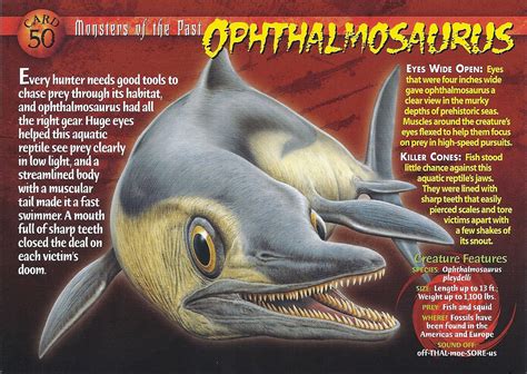 Ophthalmosaurus | Weird n' Wild Creatures Wiki | FANDOM powered by Wikia