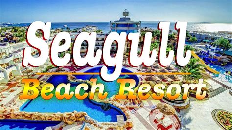 Seagull Beach Resort 4★ Hotel, Hurghada (Egypt ) - YouTube