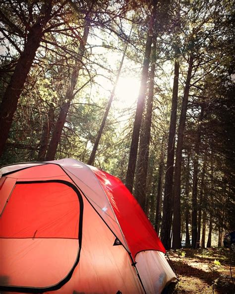 First time camping in tent on Mt. Lemmon : r/camping