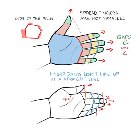 How to Draw Hands and Feet | Art Rocket