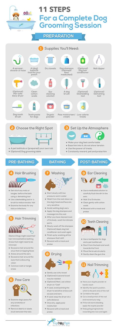 11 Quick Steps for a Complete Dog Grooming Session [Infographic] in 2024 | Dog grooming salons ...