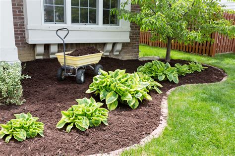 Maximizing Your Mulch Installation – ReNature Products