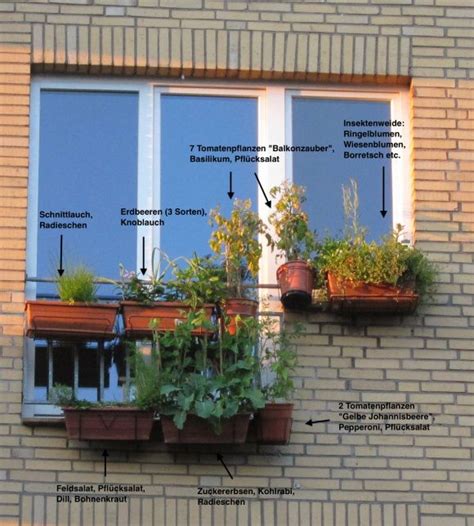 Bepflanzung der Balkonkästen mit Obst, Gemüse und Kräutern in 2012 Urban Farming, Planting Seeds ...