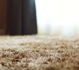 How To Get Rid Of Fleas In Your Carpet Without Breaking The Bank