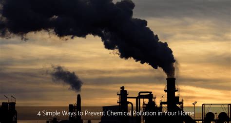 4 Simple Ways to Prevent Chemical Pollution in Your Home