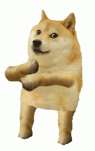 Cool Doge Dog Dance GIF - CoolDoge CoolDog DogDance - Discover & Share GIFs