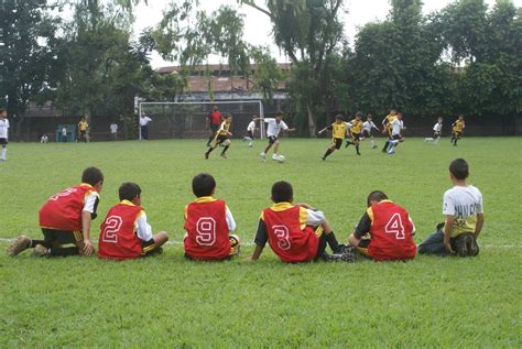 mini soccer Free Photo Download | FreeImages