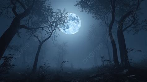 Moonlit Mystical Forest A 3d Render Of A Foggy Night Background, Scary ...