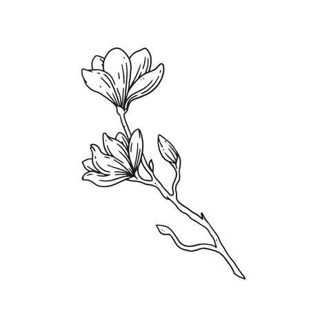 a beautiful outline illustration of flowers with stem. flower hand ...