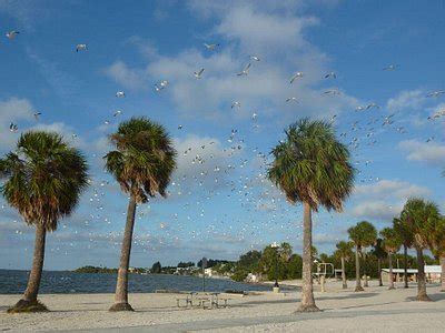 Spring Hill, FL 2024: Best Places to Visit - Tripadvisor