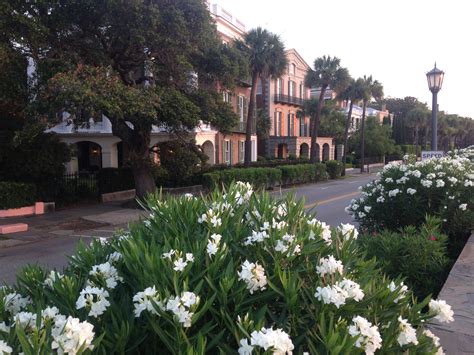 Sunrise on The Battery – Quiet Morning in Charleston – Charleston Daily