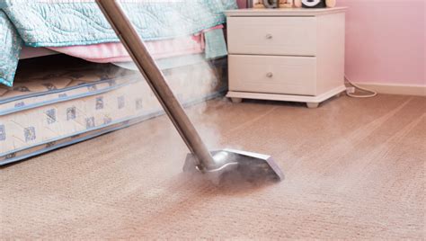 Why Should You Choose Steam Cleaning for Your Carpets - Good Lookin'