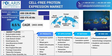 Cell-free Protein Expression Market Size Global Report, 2022 - 2030