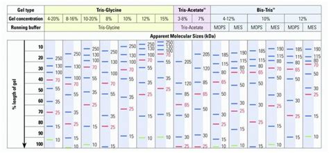 Thermo Scientific PageRuler Plus Prestained Protein Ladder, 10 to 250 ...