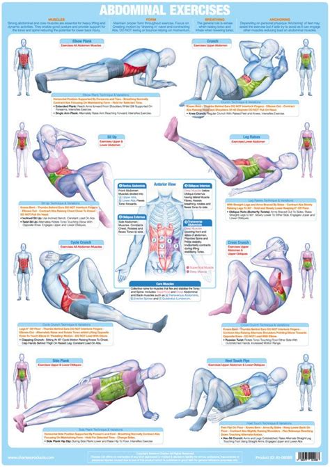 Abdominal Floor Exercise Wall Chart | Core muscle exercises, Core ...