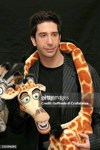 414 Schwimmer Madagascar Photos & High Res Pictures - Getty Images