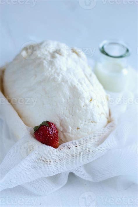 dairy products: curd, cheese, milk 1249834 Stock Photo at Vecteezy