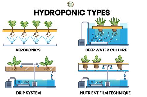 Hydroponics vs. Aeroponics: Which Reigns Supreme in 2023?