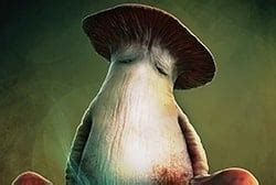 Dark Souls Mushroom Parent