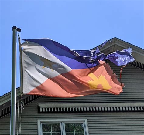 Acadiana Flag spotted in Chicago : r/vexillology